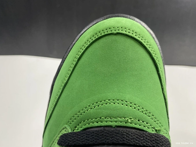 Rep Air Ducks 5 CK6631-307 Jordan SE Oregon 0814